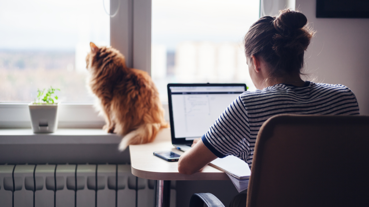 O femeie se uită pe laptop de a biroul din casa ei. Pe caloriferul din fața ei stă o pisică portocalie care se uită pe geam