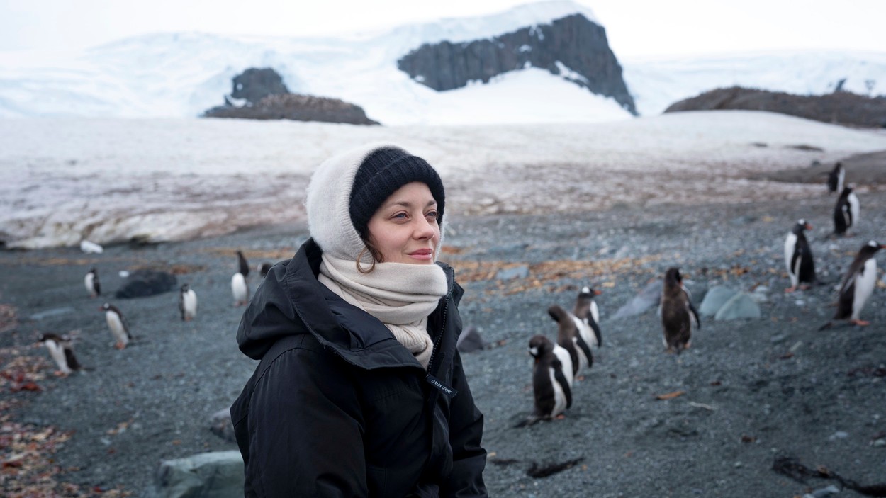 Marion Cotillard îmbrăcată cu haine de iarnă într-o expediție Greenpeace în Antarctica cu pinguini în spate