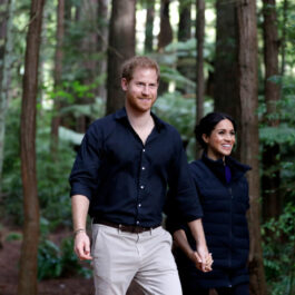 Prințul Harry și Meghan Markle la o plimbare prin pădure ținându-se de mână