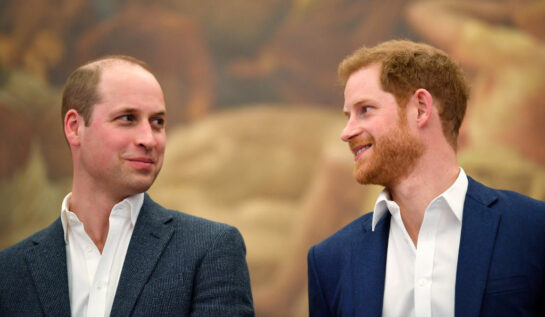Prințul Harry și Prințul William, împreună, la evenimentul de deschidere al unei săli de sport