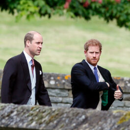 Prințul William și Prințul Harry, la nunta Pippei Middleton cu James Matthews