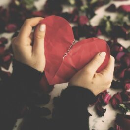 Inimă roșie de hârtie, rupăt în două de mâinie unei femei, pe un fundal de flori de trandafiri veștejite