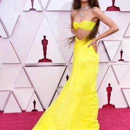 Zendaya, pe covorul roșu, la Premiile Oscar 2021