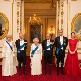 Numele de cod folosite pentru membrii Familiei Regale la recepția anuală de la Palatul Buckingham în 2016 într-un portret cu Prințul Charles, alături de soția sa împreună cu Regina Elisabeta și Prințul Philip alături de Ducii de Cambridge îmbrăcați elegantt