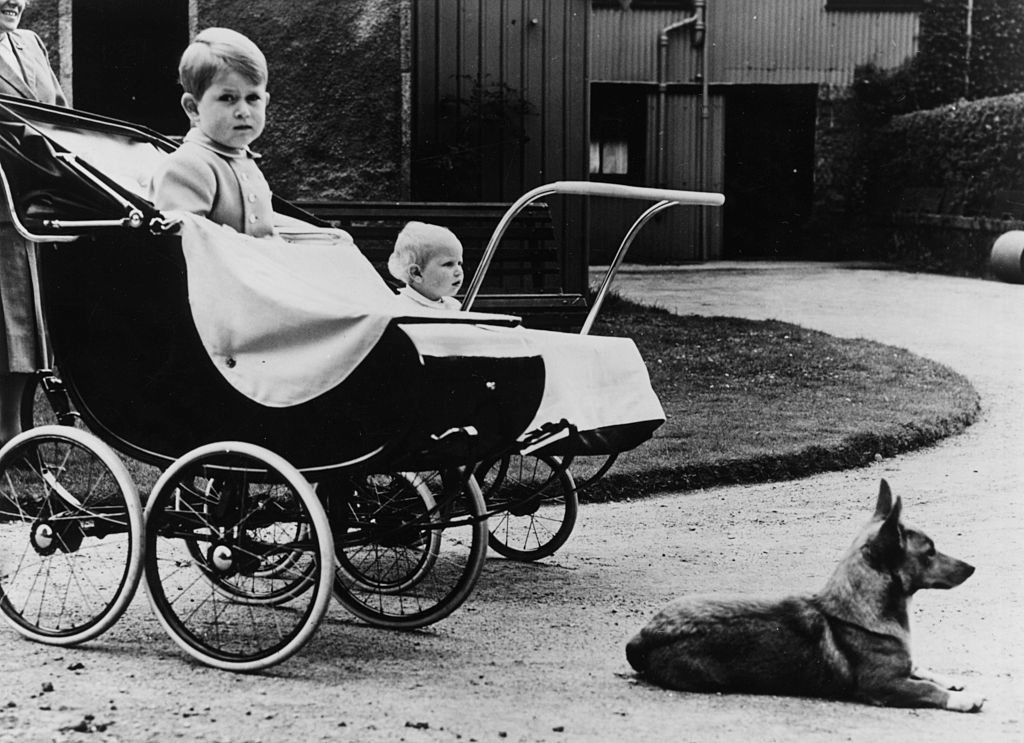 Prințul Charles și Prințesa Anne, în copilărie, în căruț, alături de unul dintre câinii Reginei Elisabeta