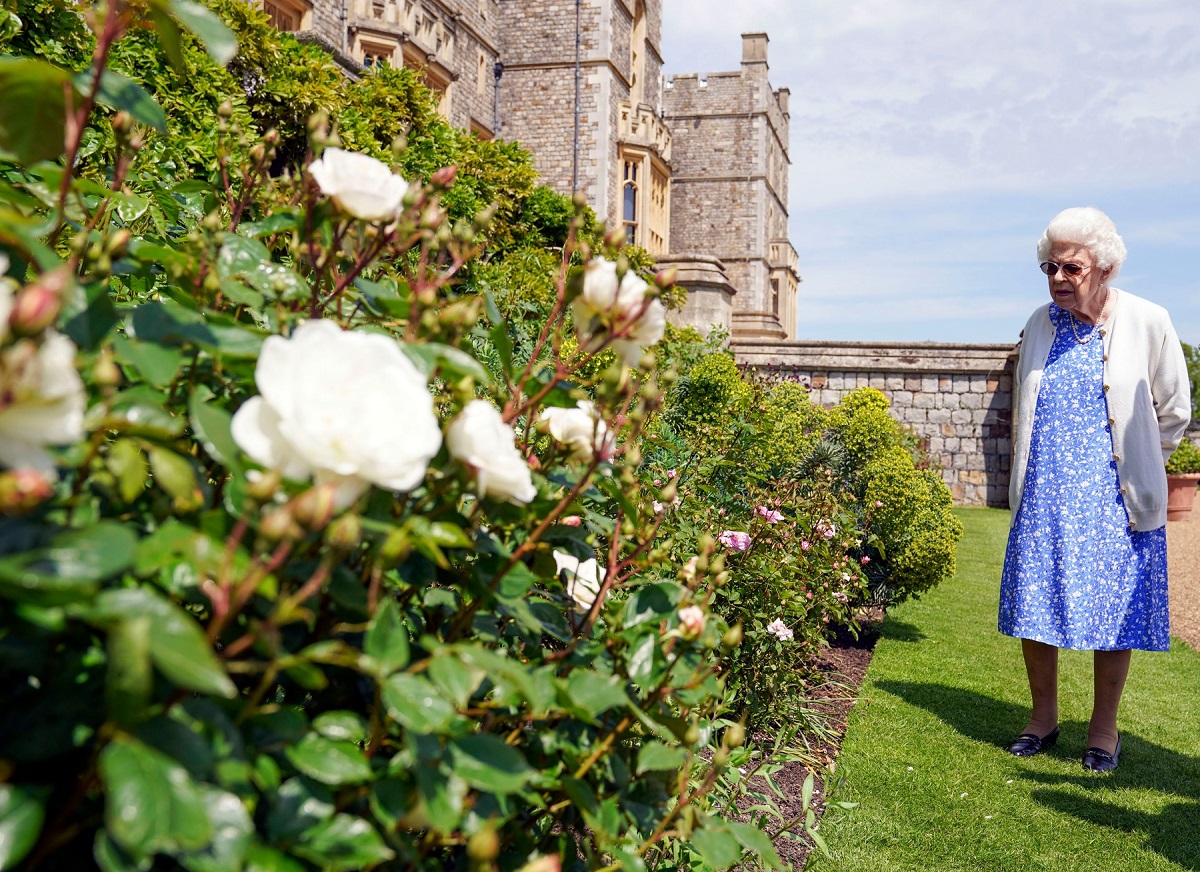 Regina Elisabeta în rochie albastră cu buline albe în timp ce se plimbă pe lângă tufele de trandafiri din grădina Castelului Windsor