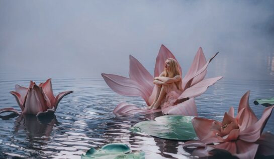 Un lac liniștit învăluit de ceață pe care se află trei flori roz de nufăr, iar în interiorul acestora stă o femeie frumoasă care reprezintă zodiile de apă și liniștea acestora