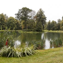 Peisaj plin de verdeață cu un lac și o insulă unde se află mormântul Prințesei Diana pe proprietatea familiei Spencer, casa Althorp
