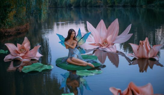 O zână frumoasă cu aripi albastre în timp ce stă pe o frunză de nufăr pe un lac și este înconjurată de flori roz de nufăr