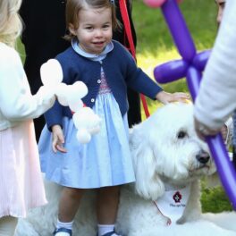 Prințesa Charlotte, în Canada, în anul 2016. Ea e îmbrăcată într-o rochie mică și albastră și e lângă un câine mare și alb