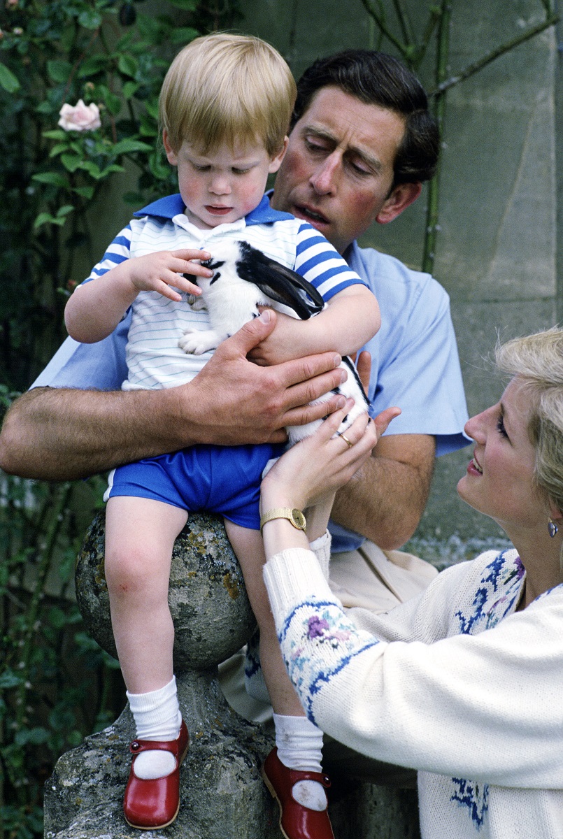 Prințul Charles, Diana și prințul Harry, cu un iepuraș în brațe. Charles îl ține pe Harry în brațe, Harry ține iepurașul