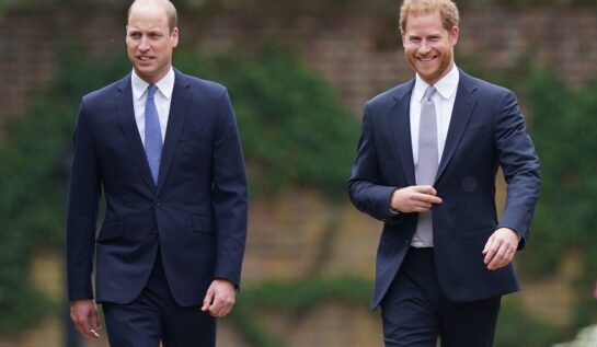 Prințul William și Prințul Harry s-au întâlnit pentru a celebra din nou memoria Prințesei Diana
