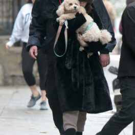 Selena Gomez la plimbare în New York cu un câine alb în brațe