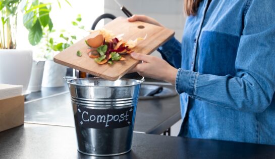 Cum să faci compost acasă. Sfaturi utile pentru utilizarea resturilor menajere