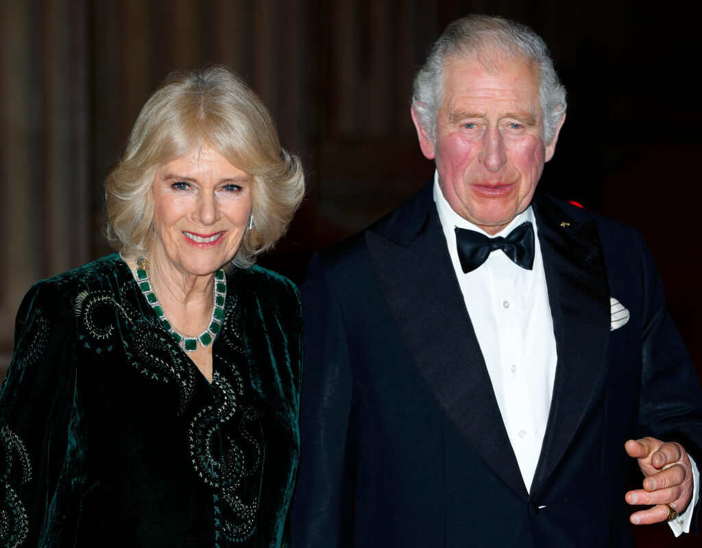 Prințul Charles și soția sa, la evenimentul British Asian Trust, îmbrăcați elegant