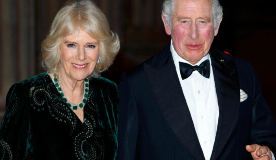 Prințul Charles și soția sa, la evenimentul British Asian Trust, îmbrăcați elegant