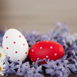 Două ouă de Paște, unul alb cu buline roșii și unul roșu cu buline albe în timp ce stau între flori de zambile