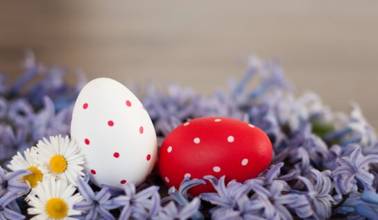 Două ouă de Paște, unul alb cu buline roșii și unul roșu cu buline albe în timp ce stau între flori de zambile