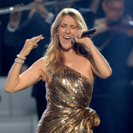 Celine Dion, fotografiată în timpul unui concert, într-o rochie aurie