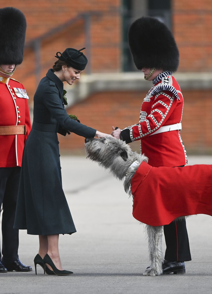 Kate Middleton și mascota Regimentului Gărzilor Irlandeze, la parada de Sfântul Patrick