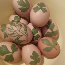 Ouă decorate cu frunzulițe, pregătite pentru a fi vopsite