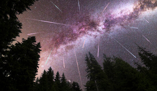 Ploaie de meteoriți în jurul unor brazi înalți