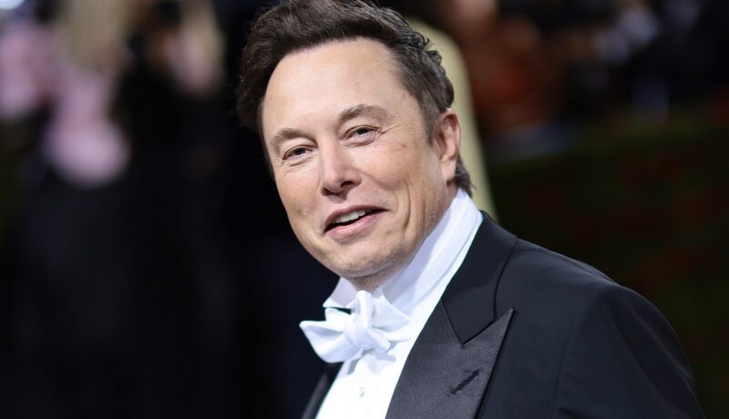 Elon Musk are o nouă iubită. Miliardarul a fost suprins în compania actriței Natasha Bassett