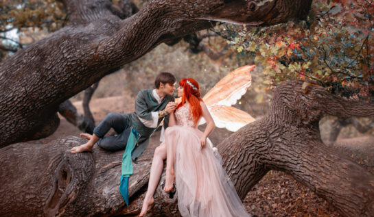 O zână îndrăgostită de un prinț, într-o pădure, așezați pe creanga unui copac