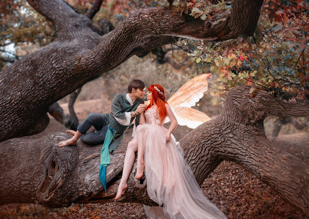 O zână îndrăgostită de un prinț, într-o pădure, așezați pe creanga unui copac