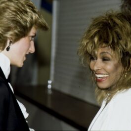 Tina Turner este una din principalele vedete care au întâlnit-o pe Prințesa Diana