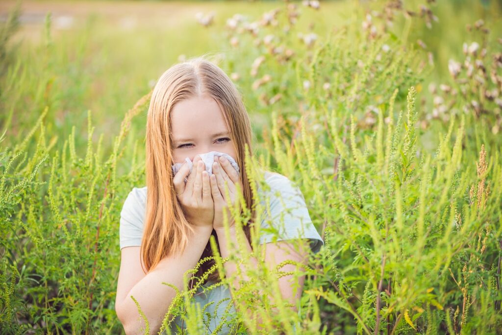 Ce trebuie să știi despre alergia la ambrozie. Cum se manifestă și ce tratament poți urma