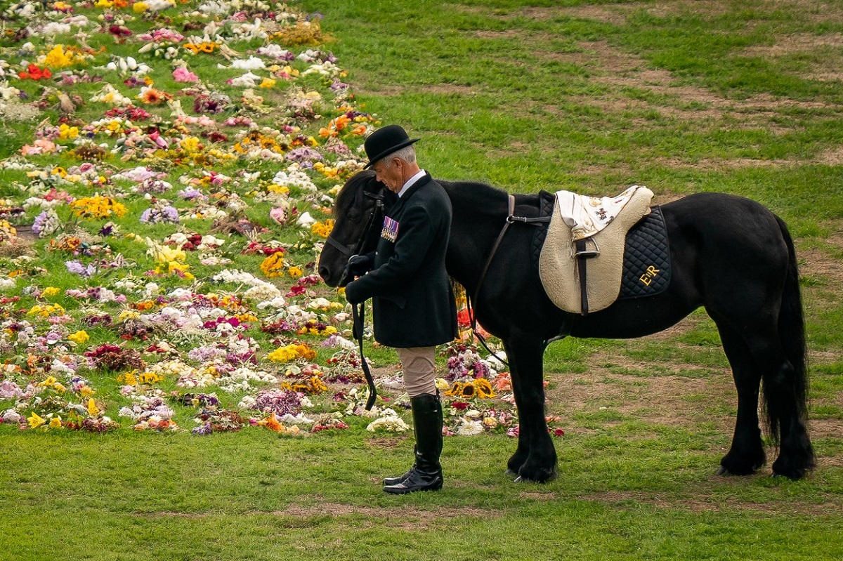 Monty Roberts, antrenorul de cai al Reginei Elisabeta a II-a, alături de poneiul Reginei, Emma