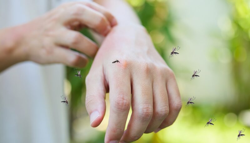 O mână mușcată de țânțari pentru a ilustra faptul că dieta zilnică poate influența apariia acestora în jurul corpului