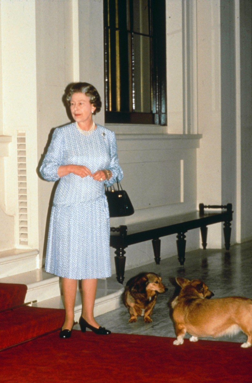 Regina Elisabeta, în tinerețe, la palat, cu câinii alături