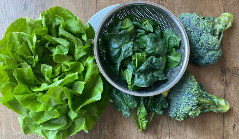 Spanac, într-un castron din metal cu broccoli și salată verde alături