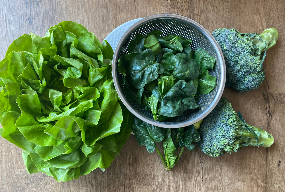 Spanac, într-un castron din metal cu broccoli și salată verde alături