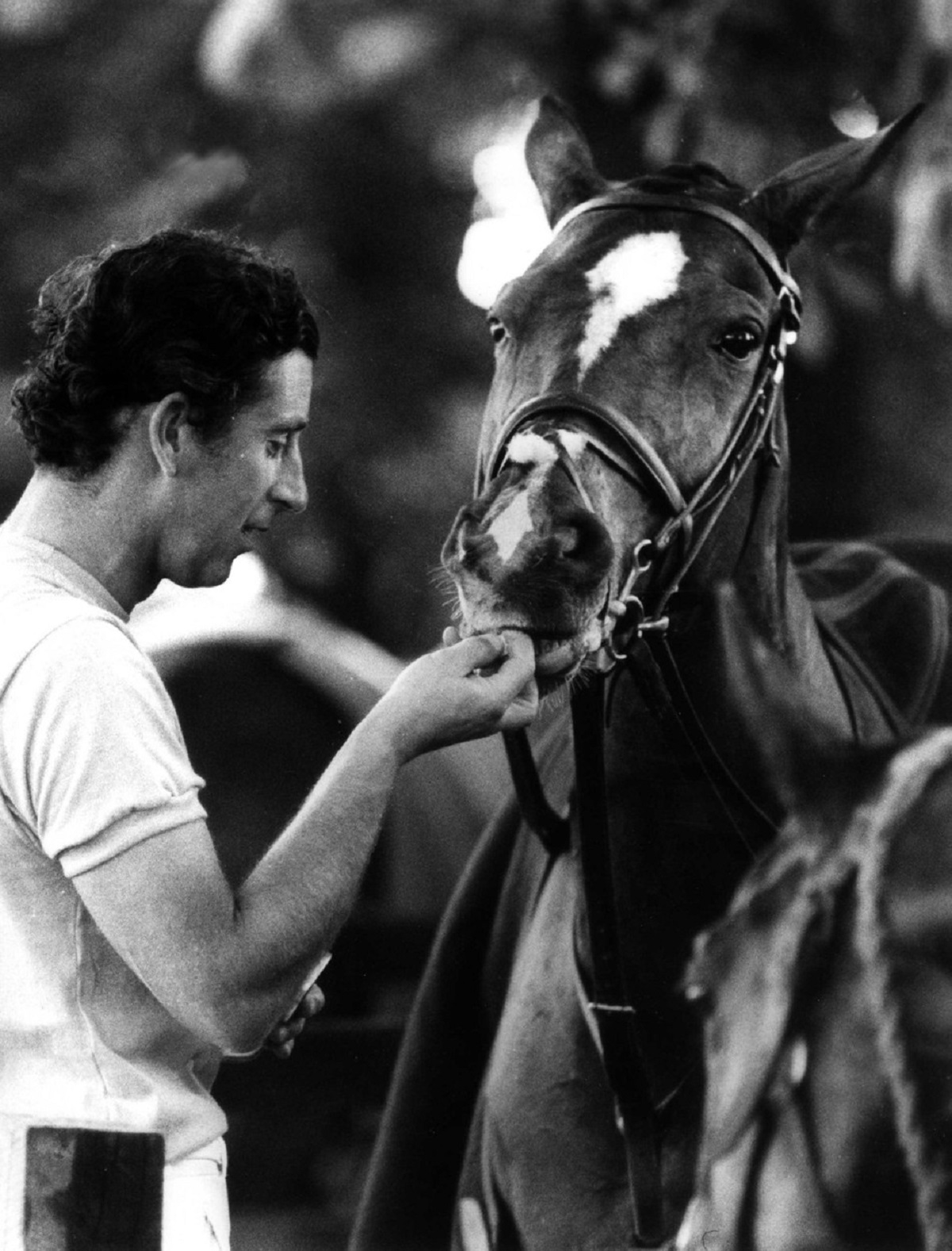 Prințul Charles alături de un cal după un meci de polo