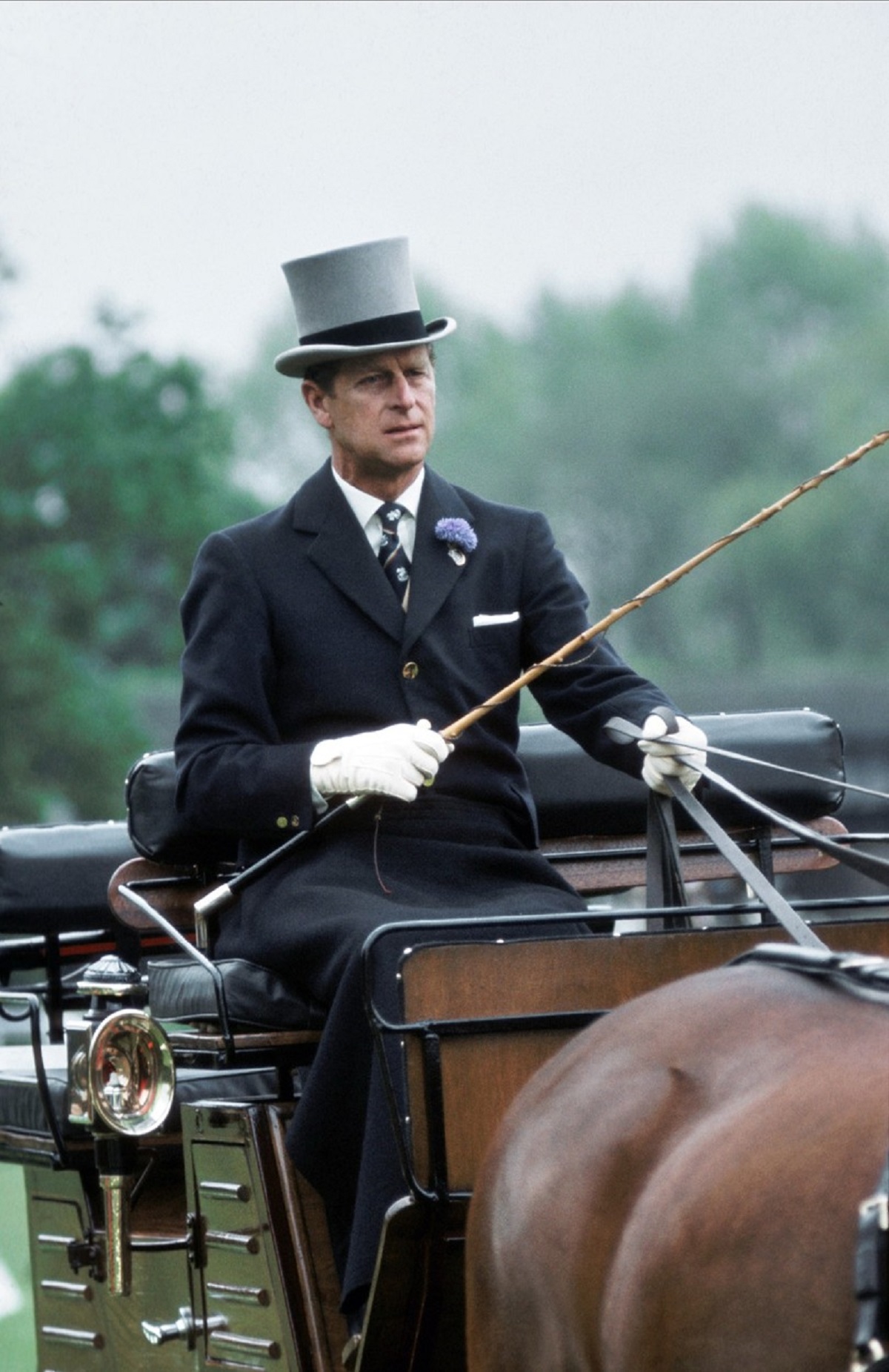 Prințul Philip în timp ce conduce o trăsură cu cai