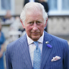 Regele Charles, într-un costum albastru