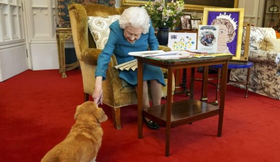 Sarah Ferguson a postat prima fotografie cu cei doi câini ai Reginei Elisabeta a II-a. Cum arată patrupedele după moartea Majestății Sale
