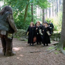 Robbie Coltrane în rolul lui Rubeus Hagrid într-o scenă din Harry Potter
