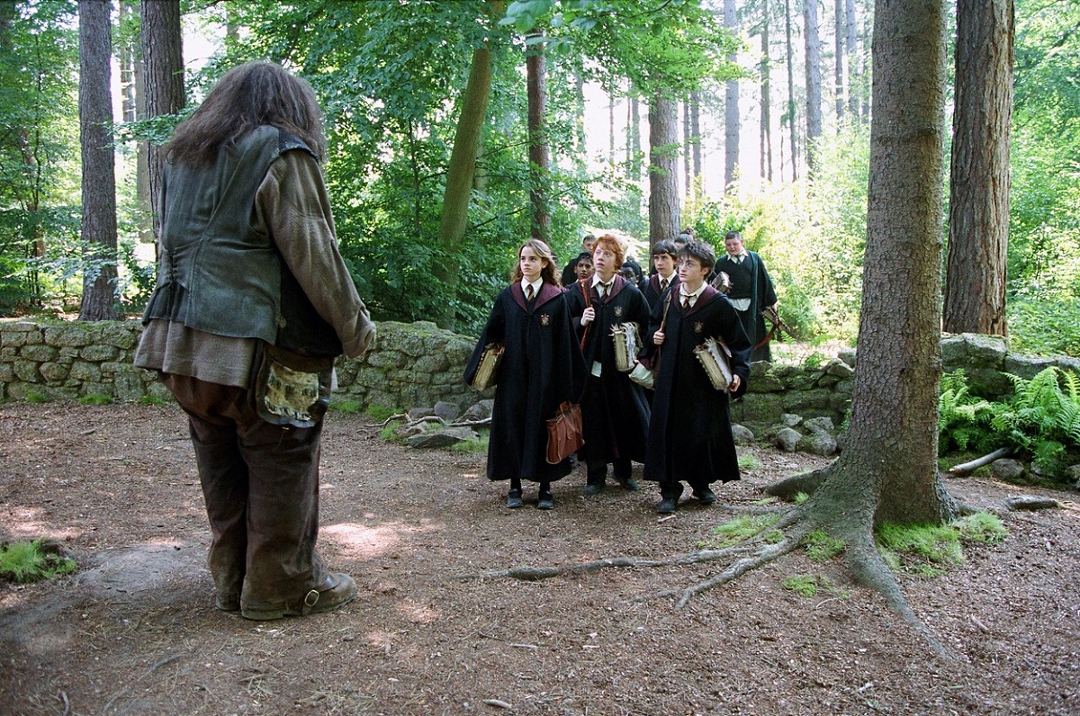 Robbie Coltrane în rolul lui Rubeus Hagrid într-o scenă din Harry Potter