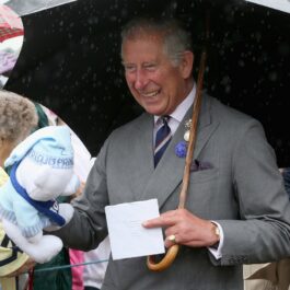 Regele Charles cu un ursuleț de pluș în brațe la o întâlnire publică