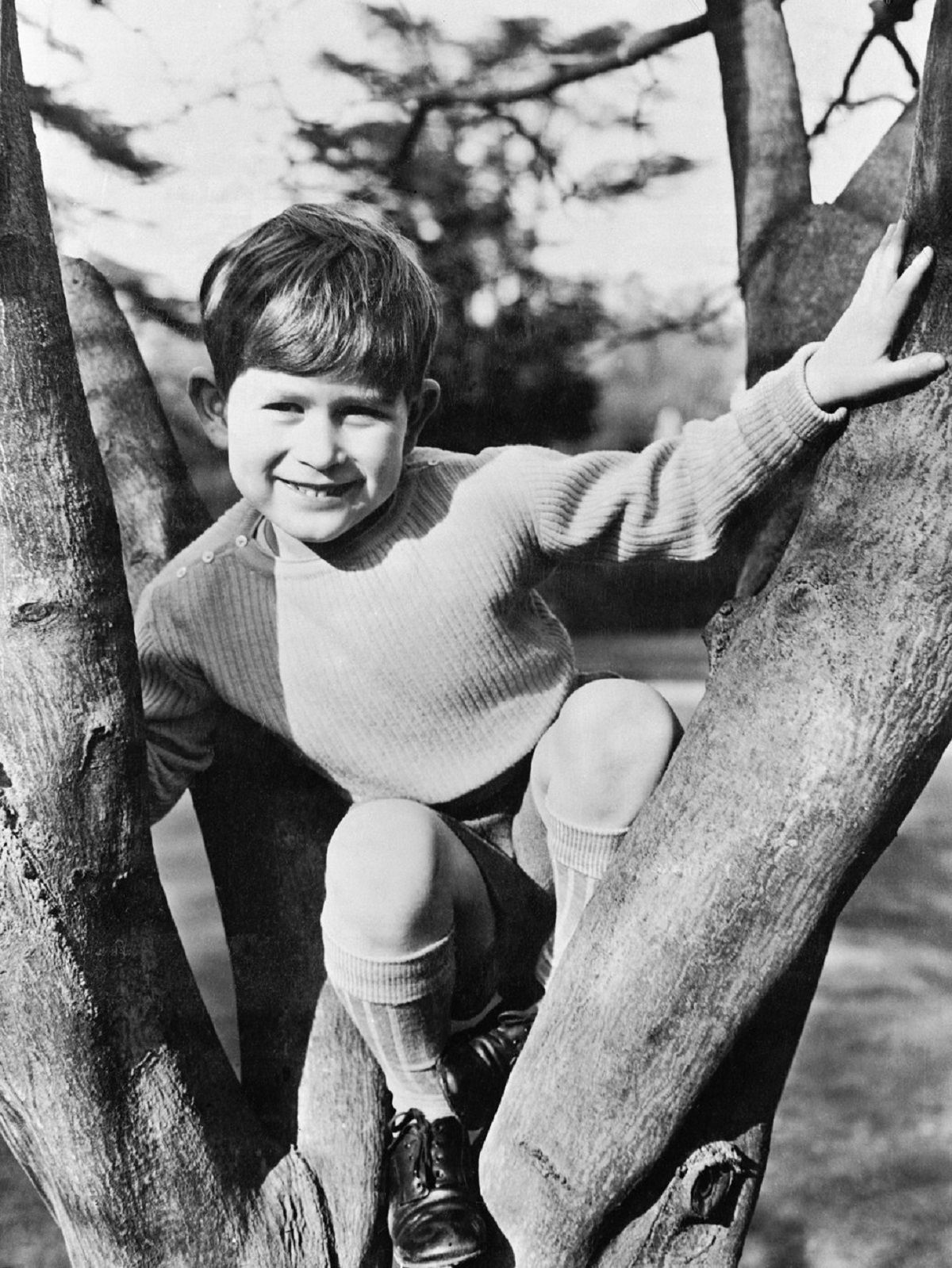 Prințul charles în copilărie într-un copac
