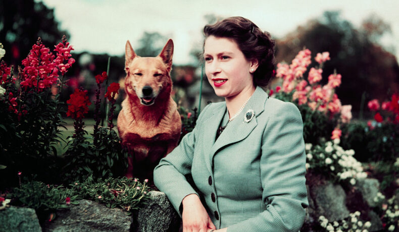 Regina Elisabeta, în tinerețe, în grădină, cu unul dintre câinii ei