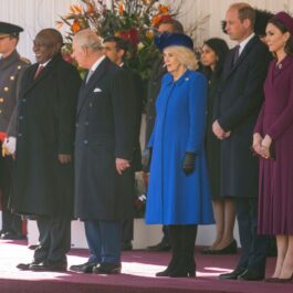 Regii Angliei și Prinții de Wales, la Palatul Buckingham, în timpul primirii președintelui sud-african