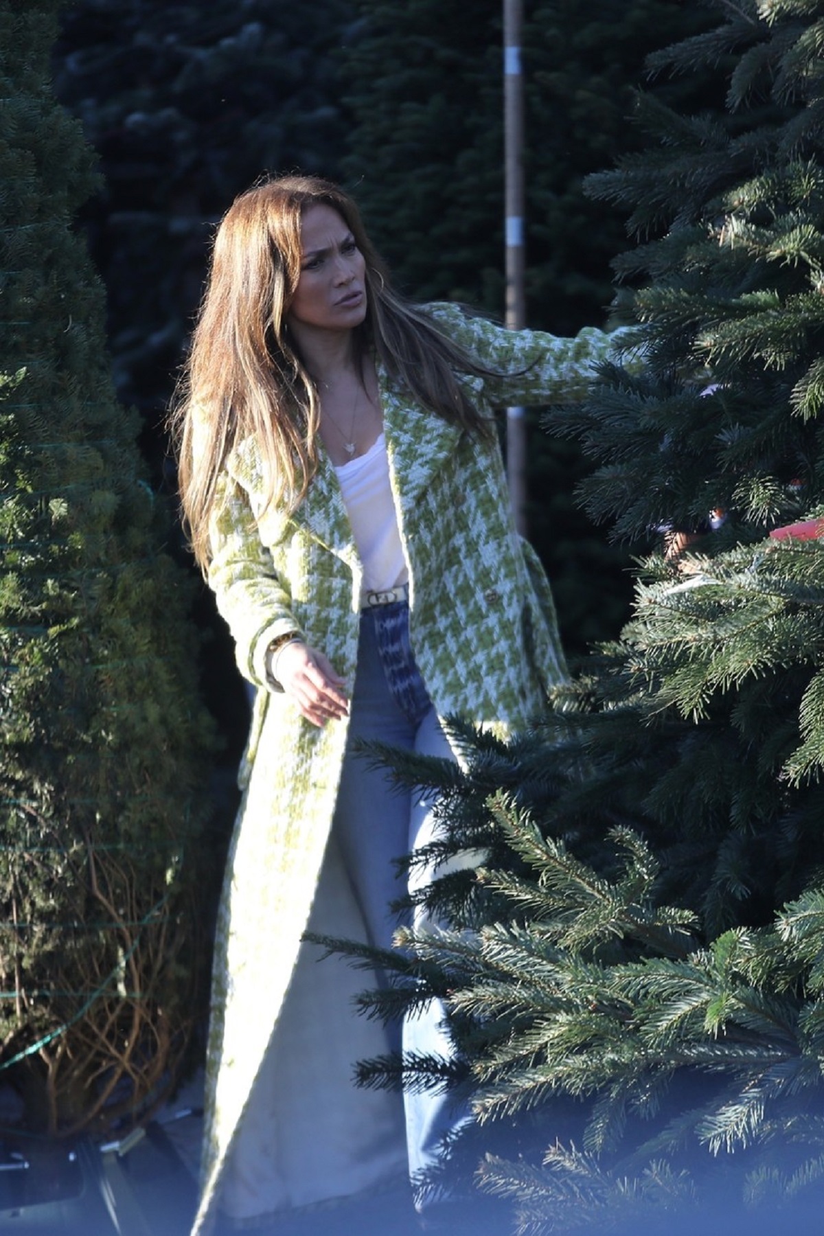 Jennifer Lopez în timp ce alege un brad de Crăciun