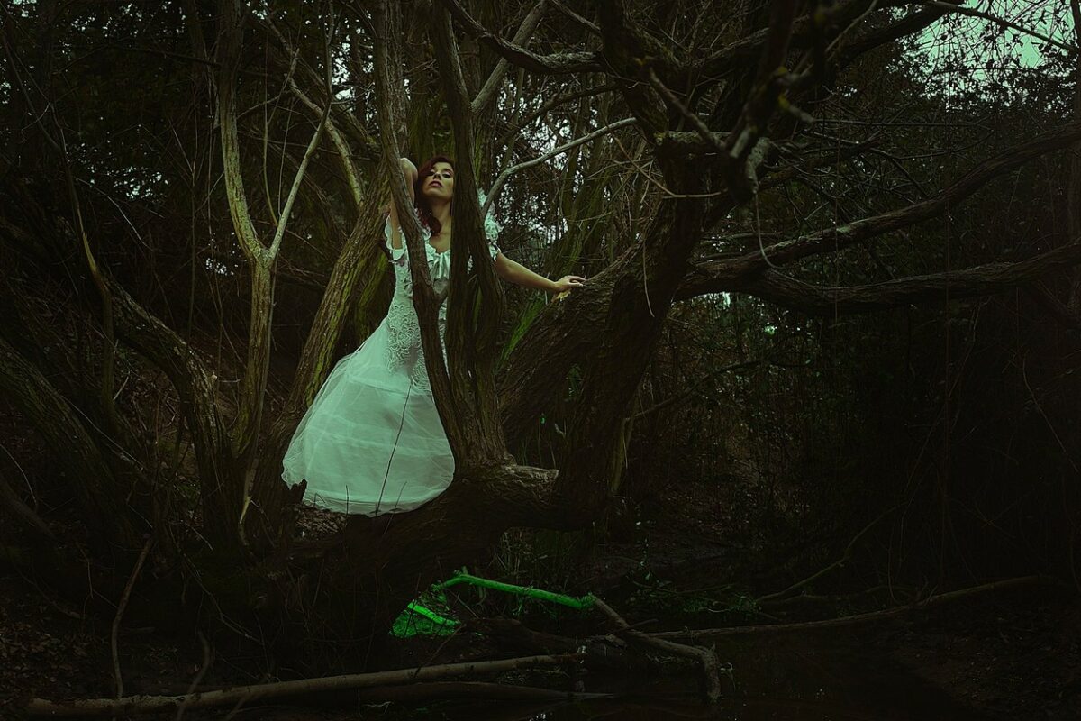 Fată frumoasă îmbrăcată într-o rochie lungă albă stă într-o pădure, într-un copac