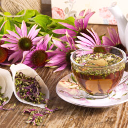 Mai multe flori de echinaceea lângă o ceașcă cu ceai