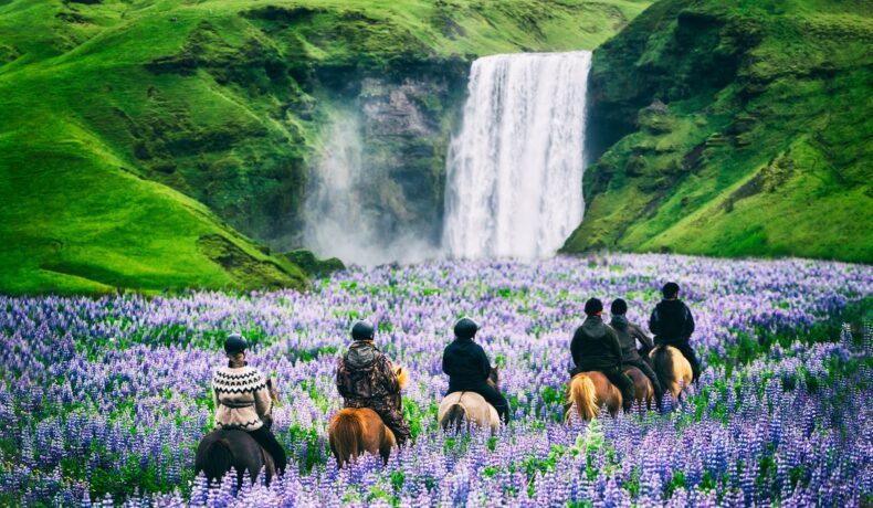 Mai mulți turiști călare pe cai se plimbă printr-un lan de levănțică, în unul dintre locurile de văzut măcar o dată în viață